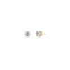 korvakorut Crown Studs Mini Gold, Gold pleated>Edblad New