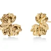 korvakorut Gerana Studs L, Gold pleated>Edblad Clearance