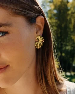 korvakorut Gerana Studs L, Gold pleated>Edblad Clearance