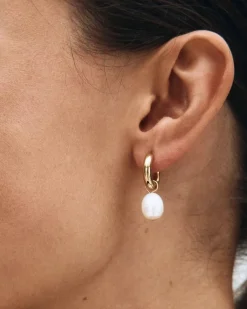 korvakorut Perla Hoops L Gold, Gold pleated>Edblad Best