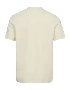 miesten t-paita, COTTON T-SHIRT>Gino marcello