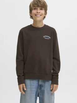 college, JJEBRANDES RELAXED SWEATSHIRT JNR>Jack and Jones Junior Online