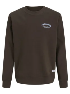 college, JJEBRANDES RELAXED SWEATSHIRT JNR>Jack and Jones Junior Online