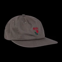 miesten lippis, LINGON CAP>Makia Clearance