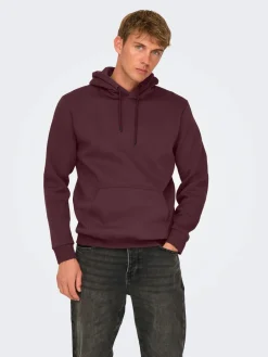 Miesten Huppari ONSCERES LIFE HOODIE SWEAT>Only and Sons New