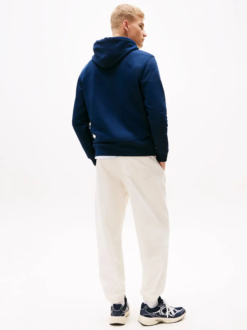 miesten huppari, TJM REG BADGE HOODIE EXT>Tommy Jeans Best